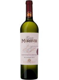 Zámecké vinařství Bzenec - Terroir - Rulandské bílé - pozdní sběr - Zimní vrch