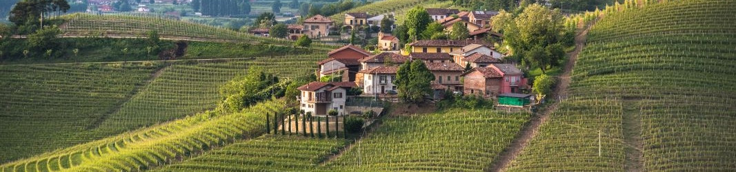 Vinařská oblast Piemonte/Piemontsko