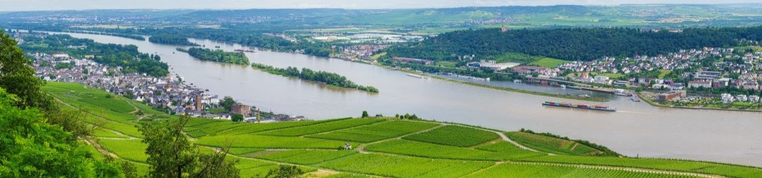 Rheingau/Porýní