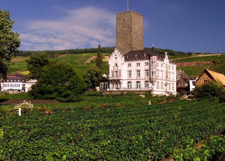vinařství Carl Jung - zámek Boosenburg