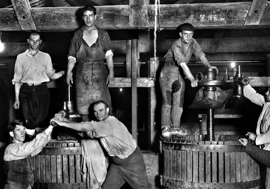 dělníci ve vinařství Franco-Espanolas ve 20. letech