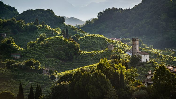 Pohled na vinice vinařství La Farra Prosecco Superiore