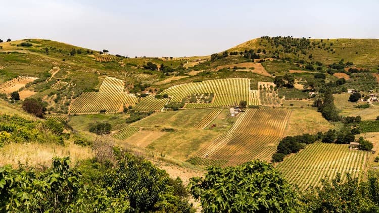 Sicílie vinice s vápencovou půdou