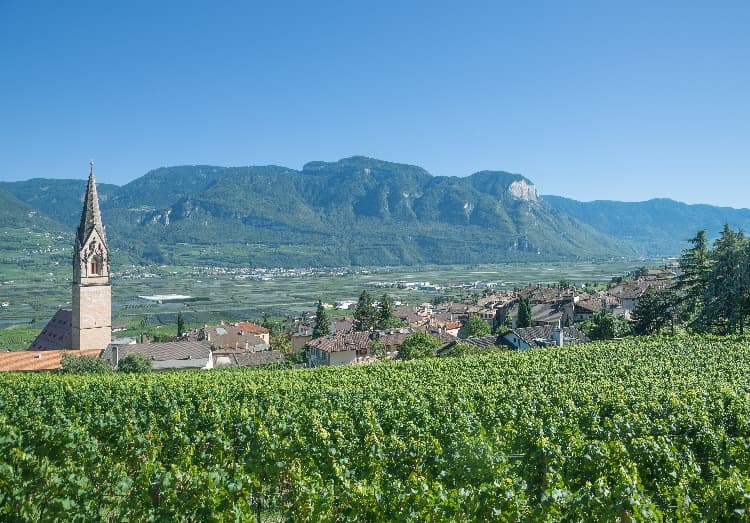 Tramín víno v Jižním Tyrolsku