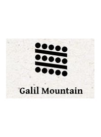 Galil Mountain Winery