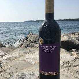 Apúlie není jenom o Primitivu! Tajemné názvy Nero di Troia, Susumaniello, Negroamaro už pro Vás nemusí být tolik tajemné! S nimi a s dalšími málo známými odrůdami nejen z Itálie se seznámíte v kolekci NEZNÁMÉ ČERVENÉ ODRŮDY. Na příštím grilování se pak můžete blýsknout zajímavou lahví!🔥

#negroamaro #neroditroia #susumaniello #primitivo #puglia #wine #summervibes #vinoklubu