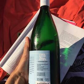 Nejlepší čtení na dovolenou: litrovka naturální Rulandy šedé, ročníku 2017 - a to pro to, že se na ni nespěchalo. Úplné relaxační pití.

LITERATUR: liter + natur ---> povinná dovolenková četba nejen naturisty

#dovolena #literatura #grauburgunder #wine #vinoklub #vino #letnipiti