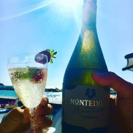 Frizzante je lehké a svěží, a proto se hodí jako aperitiv, drink k bazénu, ke vlahému večeru na balkóně nebo jako základ pro koktejly. V kolekci FRIZZANTE si jich ochutnáte rovnou 6. 

I na konci léta můžete krásně zaperlit! 🥂

#montelvini #frizzante #sparklingwine #summervibes #vinoklub