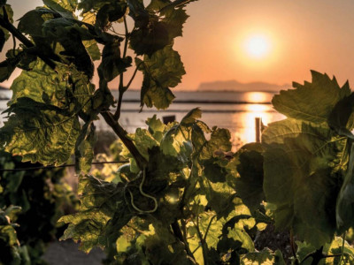 Marsala - skvělé (nejen) dezertní víno z italské Sicílie